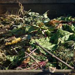 Your compost heap will rot down more quickly if you turn it from time to time and cover it to keep it warm. The hotter it is in the centre the more likely it is that weed seeds will be killed off.
