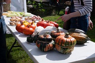 Autumn Show – 3rd September 2023