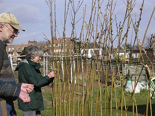 Remembering Andrew Saunders