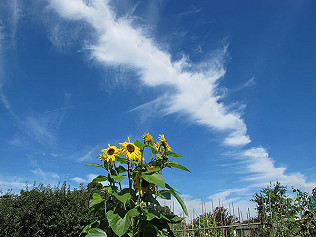 September Song