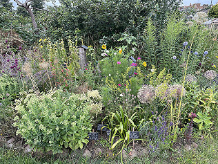 Pollinator Magnets and Bees