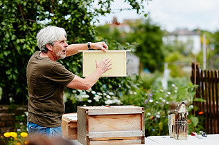 Beekeeping Talk & Demo – Photo report