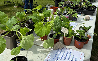 Annual Plant Sale and Pop-ups - May 2026