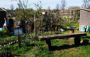 Crab Apple Corner Opening