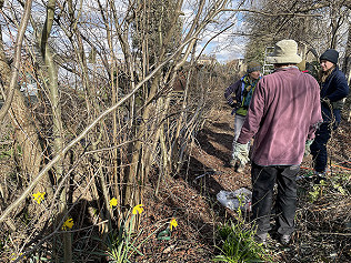 Biodiversity Projects