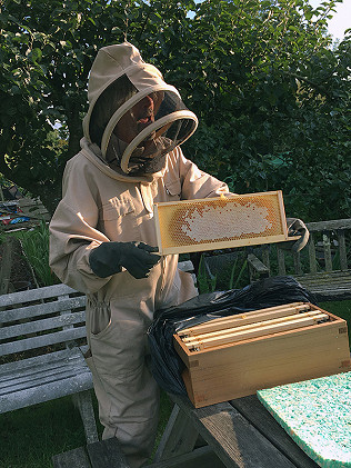 Beekeeping at RPA