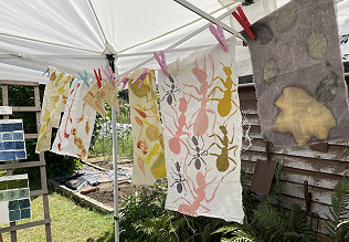 Natural Dye Talk and Display – 10th July 2022