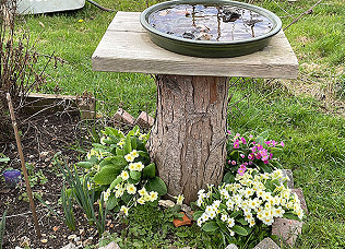 In like a soggy lion....