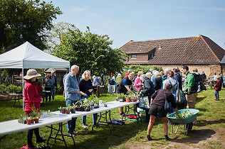 Plant Sale – 14th May