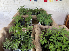 Warning: Missing image