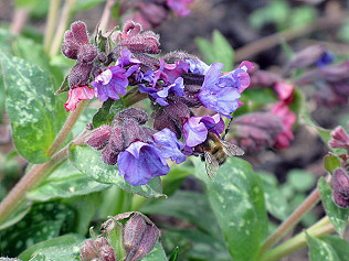 Nurture Nature cont.