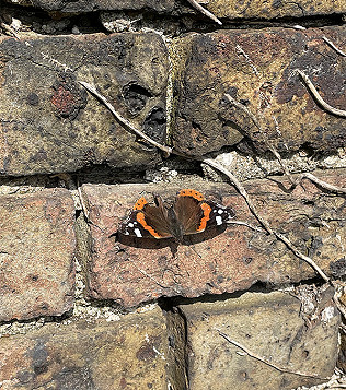 Spring is in the air....