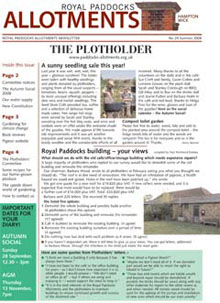 Plotholder no. 29, Summer 2008