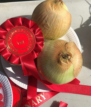 Centenary Autumn Show - thanks and credits, prize-winners and photo album