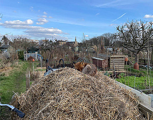 Dozing atop the heap!