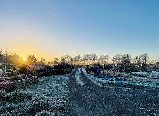 A Happy, Productive and Healthy New Year to all!