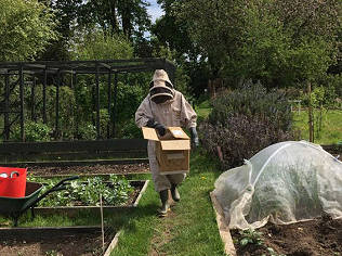 Swarms!  Leopardskin pillbox hat, nesters and bird walk!