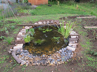 New Pond on the Block