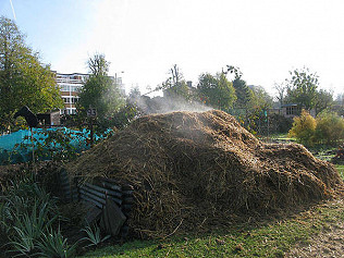 The anzwer lies in the zoil....