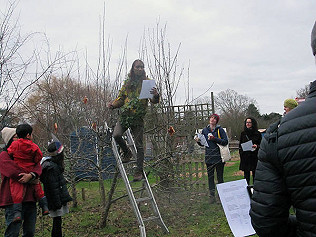 Happy New Year, 'Was haeil', apple tree wassail and new growth