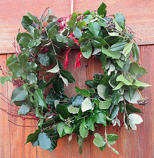 It's that kestrel again!  Christmas Cafe, birds, mistletoe and season's greetings