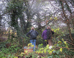 Fruit tree conservation