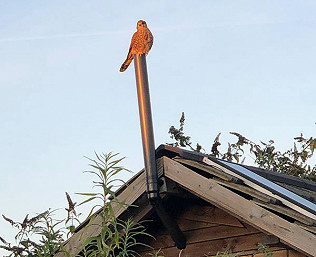 Kestrel Central and a frosty Monday morning