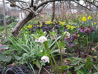 March winds, April showers... roadworks, nature anthology