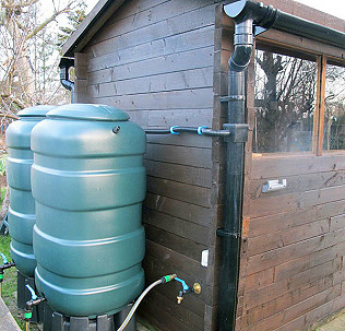 Rainwater harvesting,  spring sprung and whitethroat