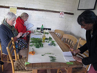 Spring Weeds workshop