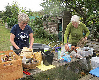 Bug hotels, bedsits and boxes, butterflies, rabbits and foxes!