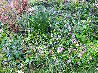 A nest hidden under the foliage