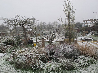 Snowy Monday morning