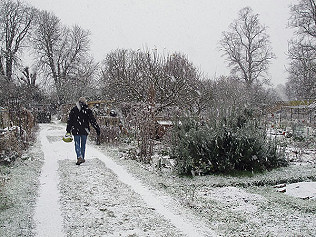 Snow, goldcrests and harbingers of spring