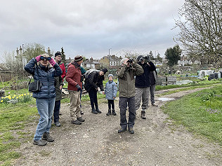 Early Spring Bird Walk