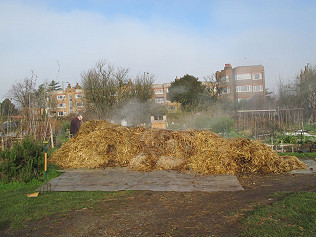 Creatures in the Compost