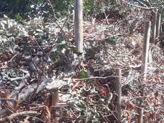 Warning: Missing image